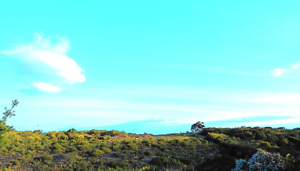 Onrus River Cottage Hermanus Luaran gambar