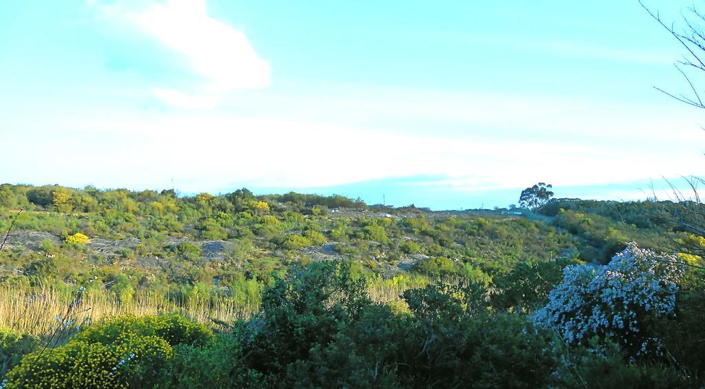 Onrus River Cottage Hermanus Luaran gambar